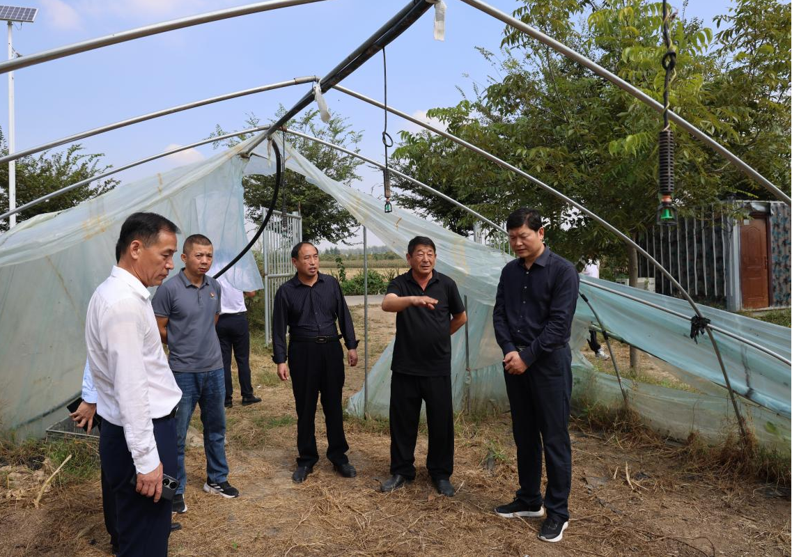 无码精品一区二区三区在线A片