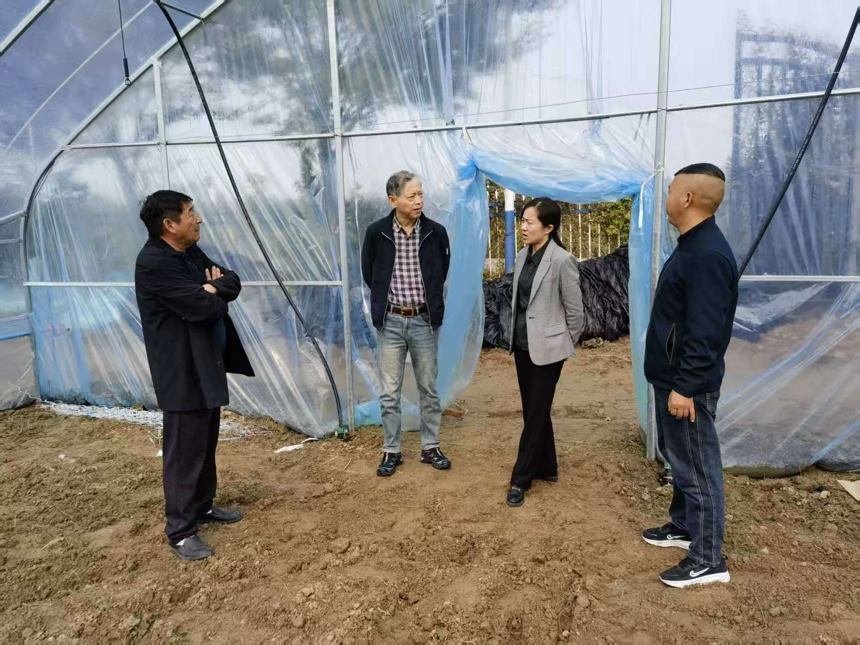 无码精品一区二区三区在线A片